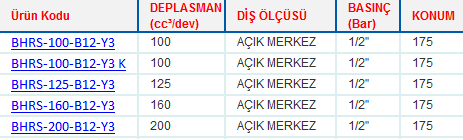 DİREKSİYON BEYNİ